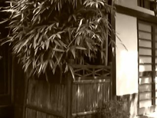Aoba Ito Full Movie Free Japan Porn Video 7f Xhamster